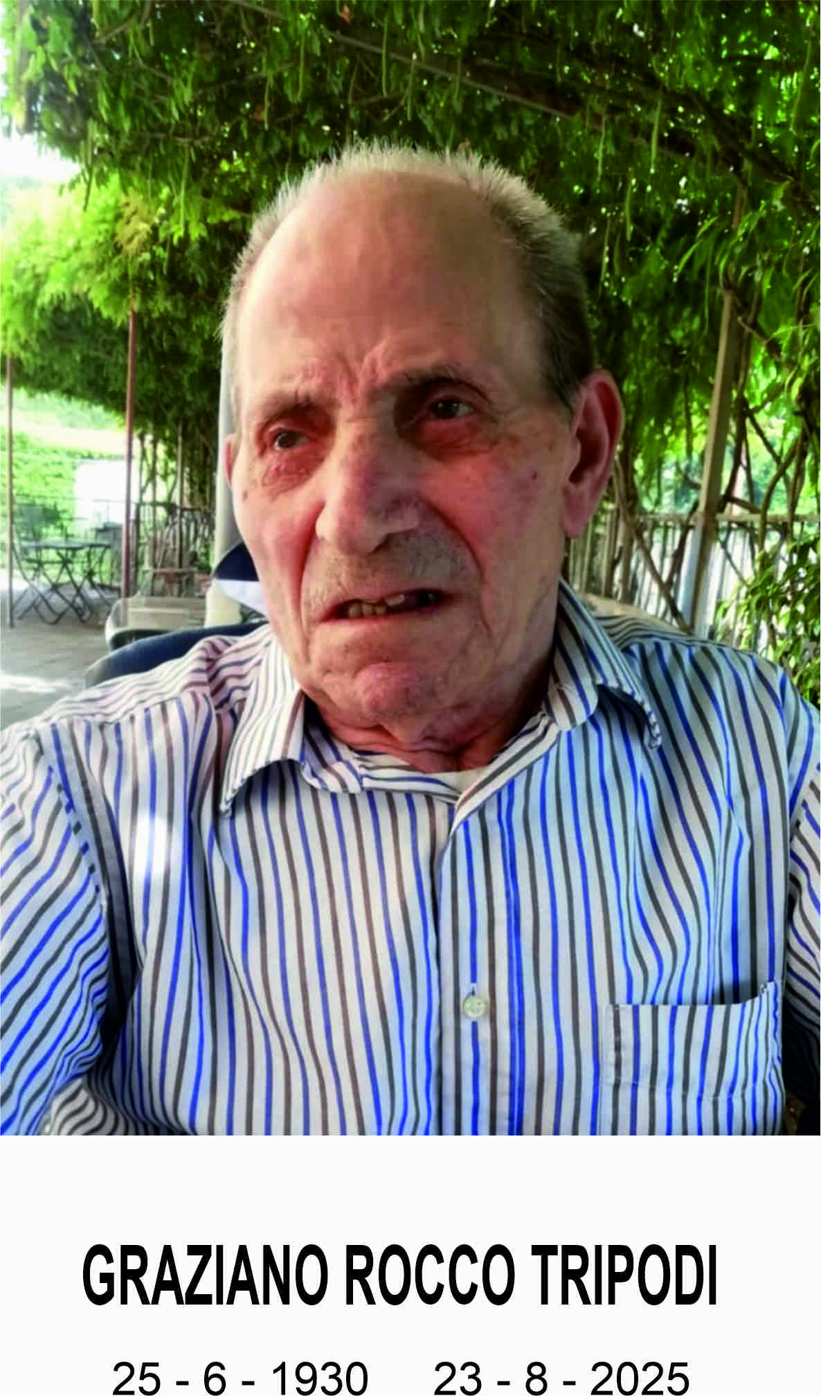 Rocco Graziano Tripodi
